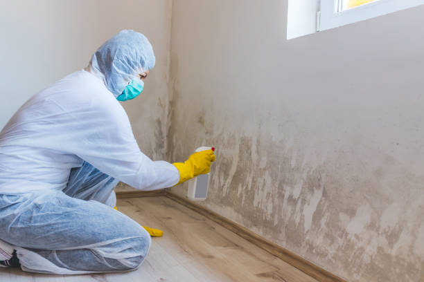 Bathroom Mold Removal assessment in Scotland bathroom